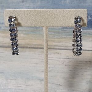 Blue rhinestones Earrings.